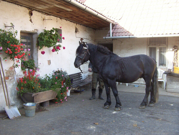 Stáj Ráček (foto 1)