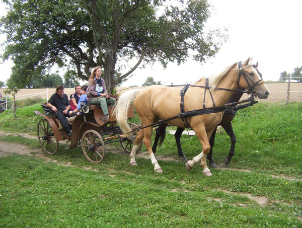 Sedlářství ve staré škole (foto 1)
