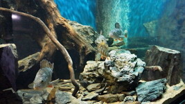 Městské muzeum Bystřice nad Pernštejnem (foto 4)