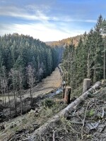 Zřícenina hradu Aueršperk (foto 4)