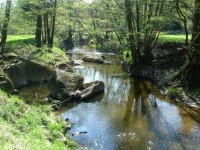 Údolími řek na ryby do Jelínkovy vily (foto 6)