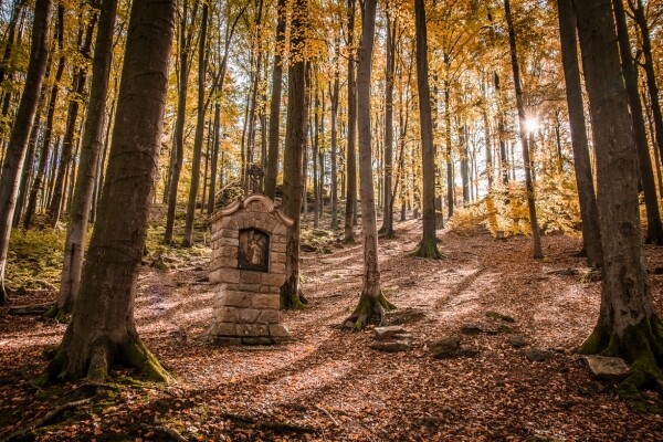 Pouť na Křemešník se zastávkou U Zmátlů (foto 1)