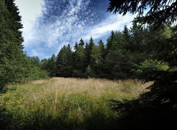 Národní přírodní rezervace Dářko (foto 1)