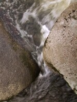 Přírodní rezervace Stvořidla (foto 7)