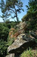 Přírodní rezervace Zaječí skok (foto 2)