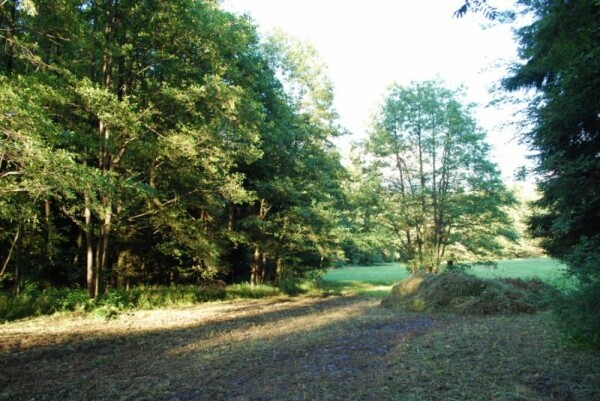 Přírodní rezervace Branty (foto 1)