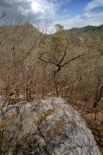 Přírodní rezervace Údolí Oslavy a Chvojnice (foto 3)