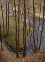 Přírodní rezervace Údolí Oslavy a Chvojnice (foto 4)