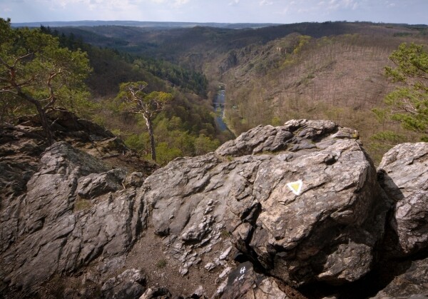 Přírodní rezervace Údolí Oslavy a Chvojnice (foto 1)