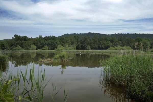 Přírodní rezervace Mokřadlo (foto 1)