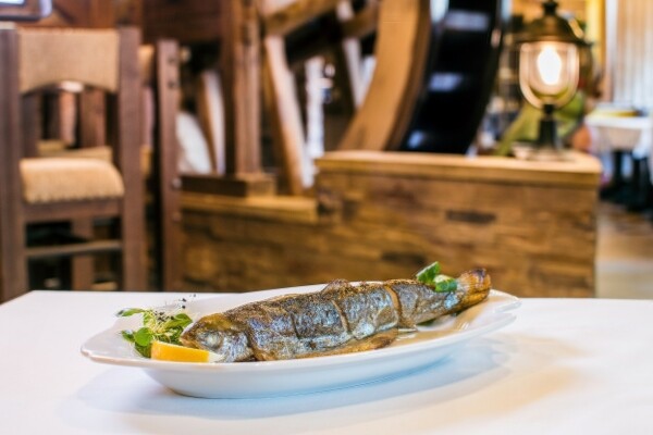 Údolími řek na ryby do Jelínkovy vily (foto 1)