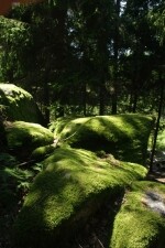 Naučnou stezkou za zajímavostmi do Přírodního parku Čeřínek (foto 2)