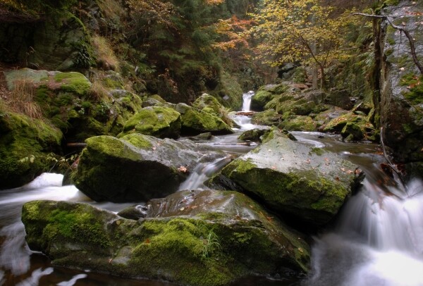 Naučná stezka Údolím Doubravy (foto 1)