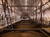 Věž kostela sv. Jakuba Většího Jihlava (foto 4)