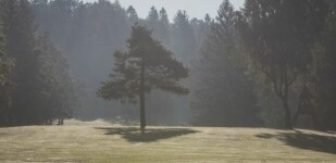 Golf Club Svratka (foto 5)
