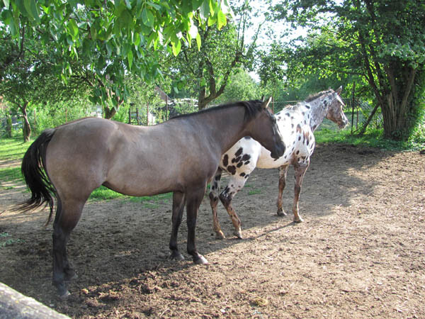 Butterhill Ranch (photo 1)