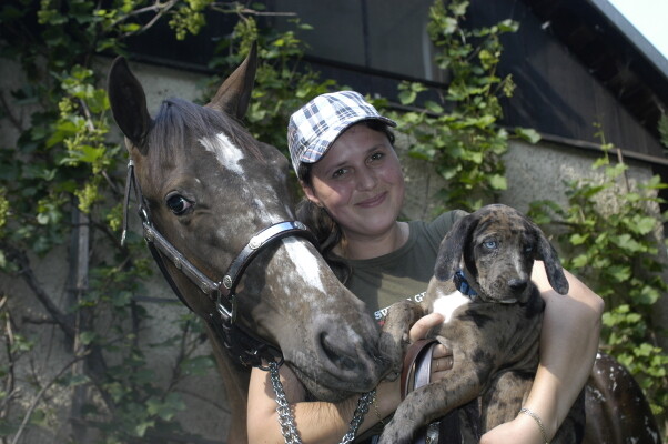 Butterhill Ranch (foto 1)