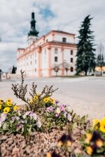 Kostel Nanebevzetí Panny Marie v Polné (foto 3)