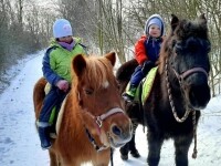 Zámecká stáj Plandry (foto 2)