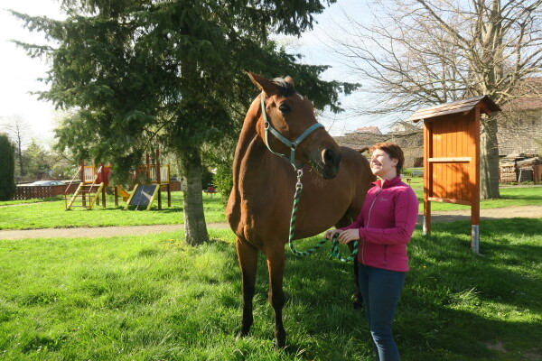 JK KORZÁR MLADÉ BŘÍŠTĚ (foto 1)