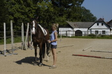 JK KORZÁR MLADÉ BŘÍŠTĚ (foto 3)