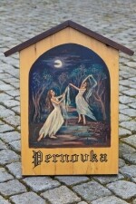 Obrázková cesta lesem Ochoza (foto 3)