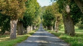 Naučná stezka Lesopark Hrádek (foto 2)