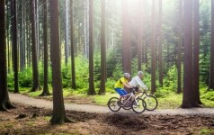 Singletracky Nové Město na Moravě (foto 2)