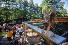 Záchranná stanice Pavlov (foto 2)