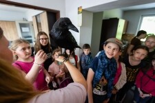 Ekocentrum stanice Pavlov (foto 4)