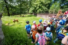 Ekocentrum stanice Pavlov (foto 7)