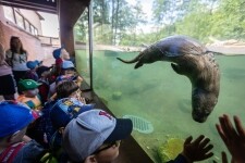 Ekocentrum stanice Pavlov (foto 8)