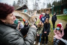 Ekocentrum stanice Pavlov (foto 9)