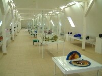 Horácká galerie Nové Město na Moravě (foto 5)