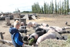 Biofarma Sasov (foto 2)