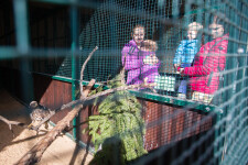 Stanice Pavlov-Výukové programy (foto 2)