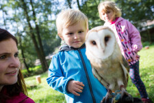 Stanice Pavlov-Výukové programy (foto 3)