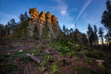 Přírodní rezervace Čtyři palice (foto 2)