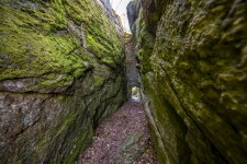 Zřícenina hradu Skály (foto 2)