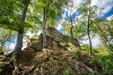 Zřícenina hradu Skály (foto 3)