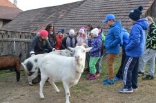 Mléčná farma Chaloupky Zašovice (foto 3)