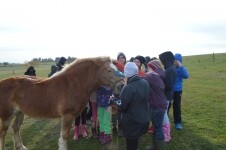 Mléčná farma Chaloupky Zašovice (foto 5)