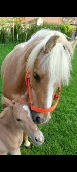 JK Viki Horní Újezd (foto 2)