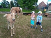 JK Viki Horní Újezd (foto 3)