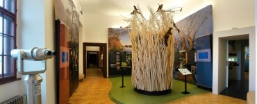 Muzeum Vysočiny Třebíč – Zámek (foto 4)