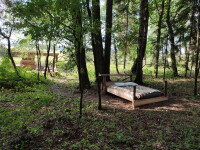 Chata NA VĚTVI (foto 5)