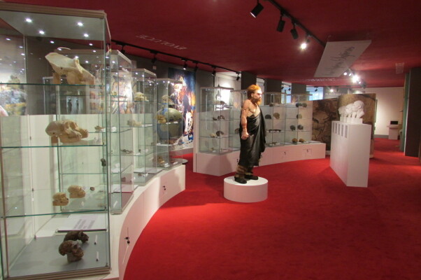 Muzeum dr. Aleše Hrdličky (foto 1)