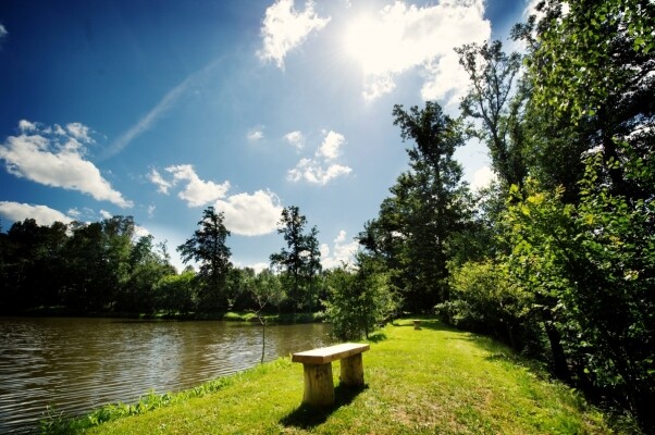 Se psem na farmu, za rekordy i k vodě (foto 1)