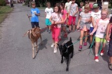 Kozí stezka – Kozí spolek (foto 7)