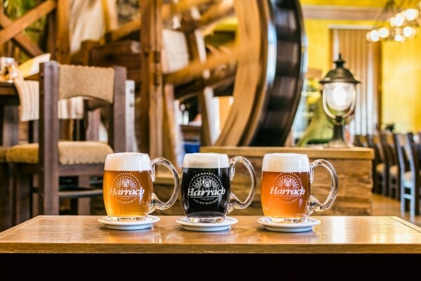 HOTEL JELÍNKOVA VILA (foto 1)